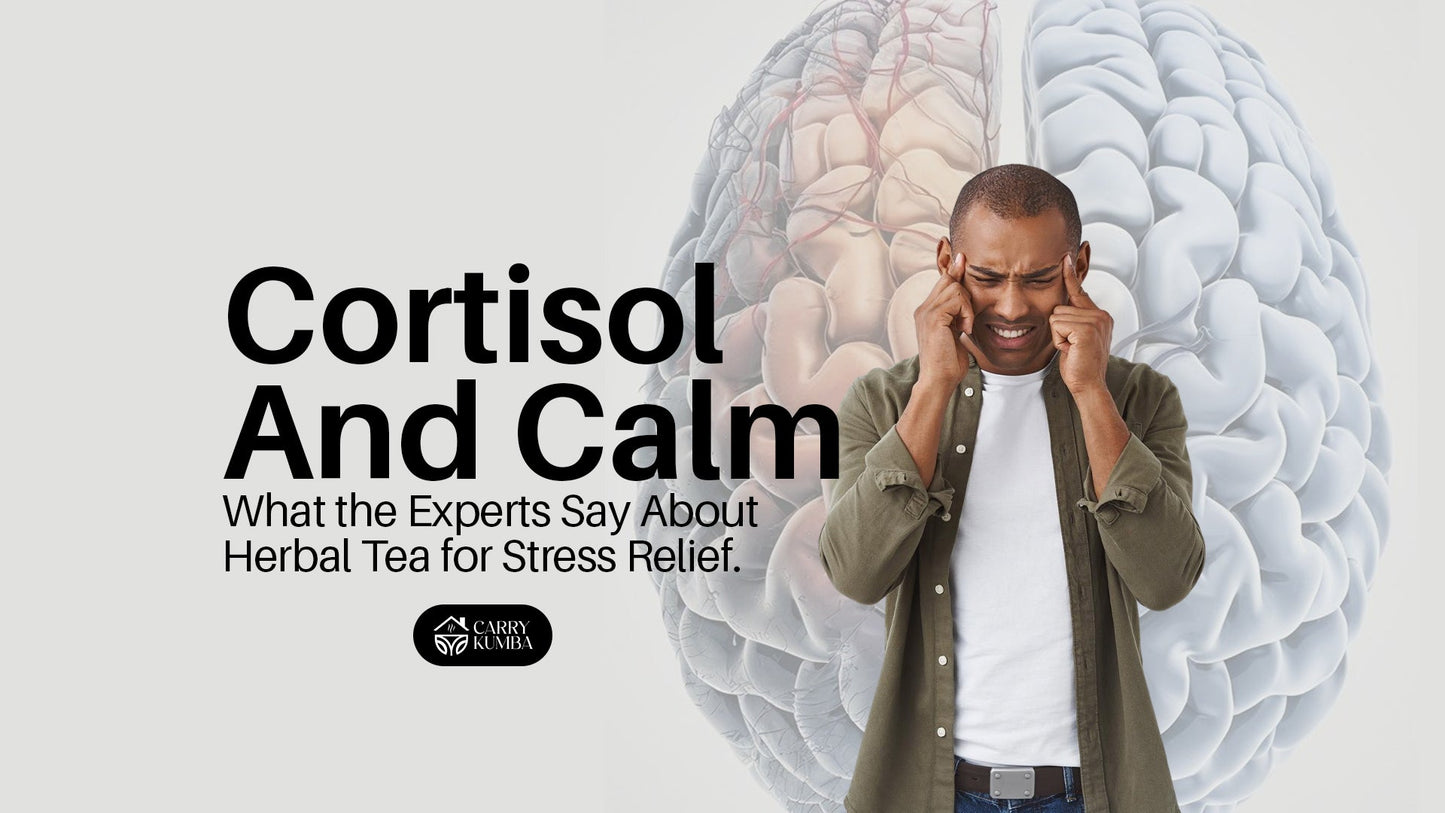 🧘🏾♀️ Cortisol and Calm: What the Experts Say About Herbal Tea for Stress Relief
